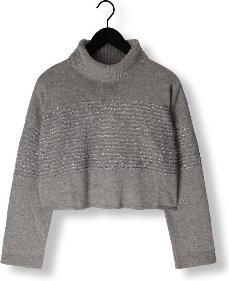 Twinset Grijze Paillet Sweater Dolcevita Lange Mouw Gray Dames