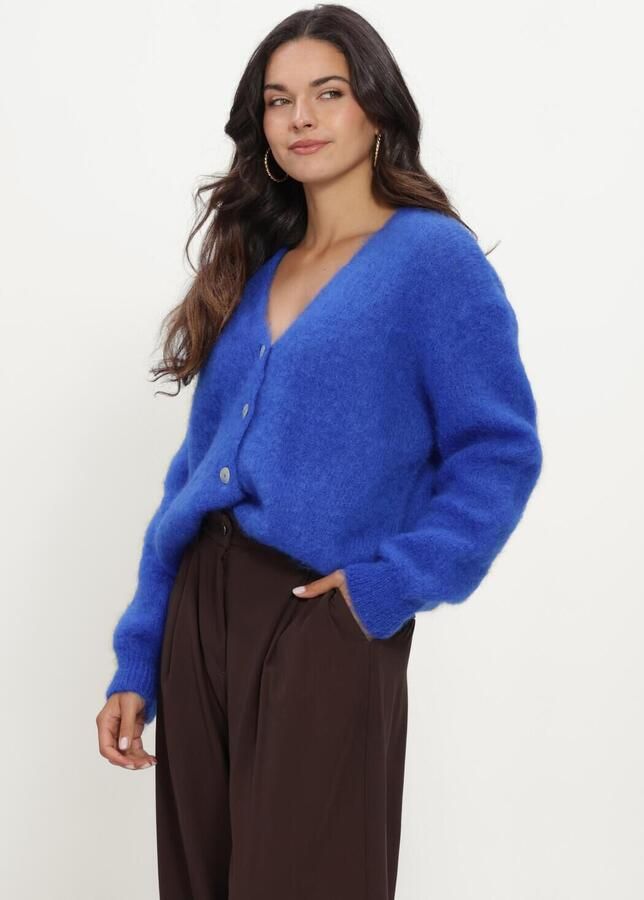 TWNS Dames Truien & Vesten Buttoned V-neck Long-sleeve Cardigan Blauw