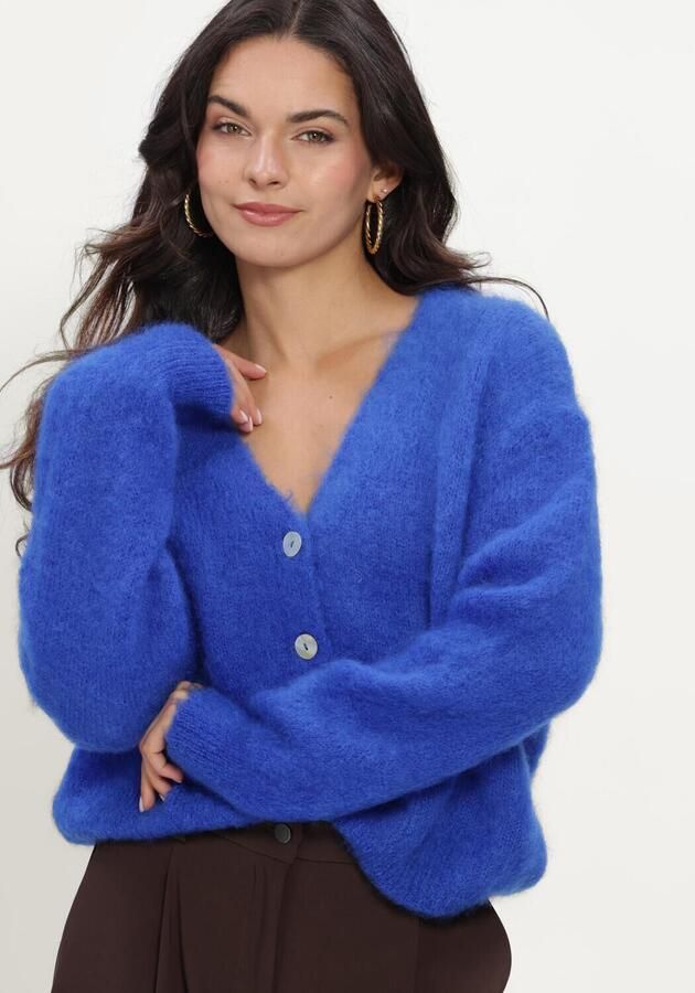 TWNS Dames Truien & Vesten Buttoned V-neck Long-sleeve Cardigan Blauw - Foto 4