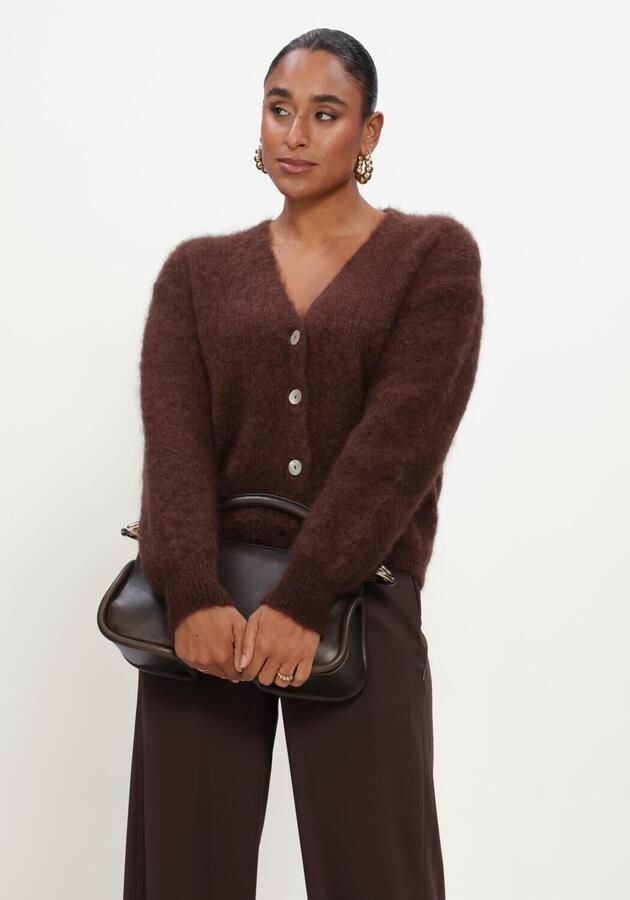 TWNS Dames Truien & Vesten Buttoned V-neck Long-sleeve Cardigan Bruin