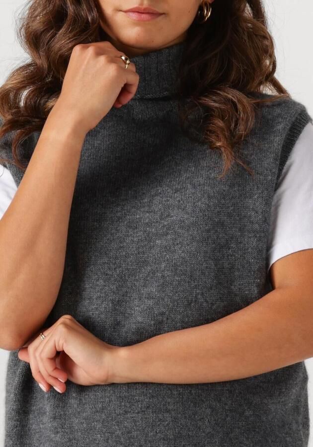 TWNS Dames Truien & Vesten Fort Collins Grijs