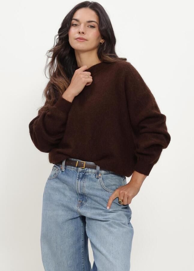 TWNS Dames Truien & Vesten High-neck Pullover Long Sleeves Bruin