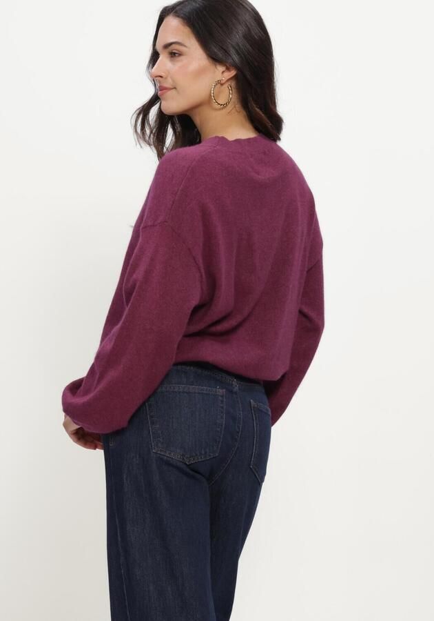 TWNS Dames Truien & Vesten Long Puffed Sleeves Round Neck Jumper Paars - Foto 2