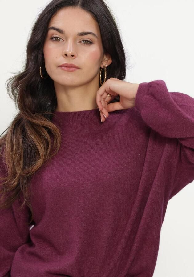 TWNS Dames Truien & Vesten Long Puffed Sleeves Round Neck Jumper Paars - Foto 3