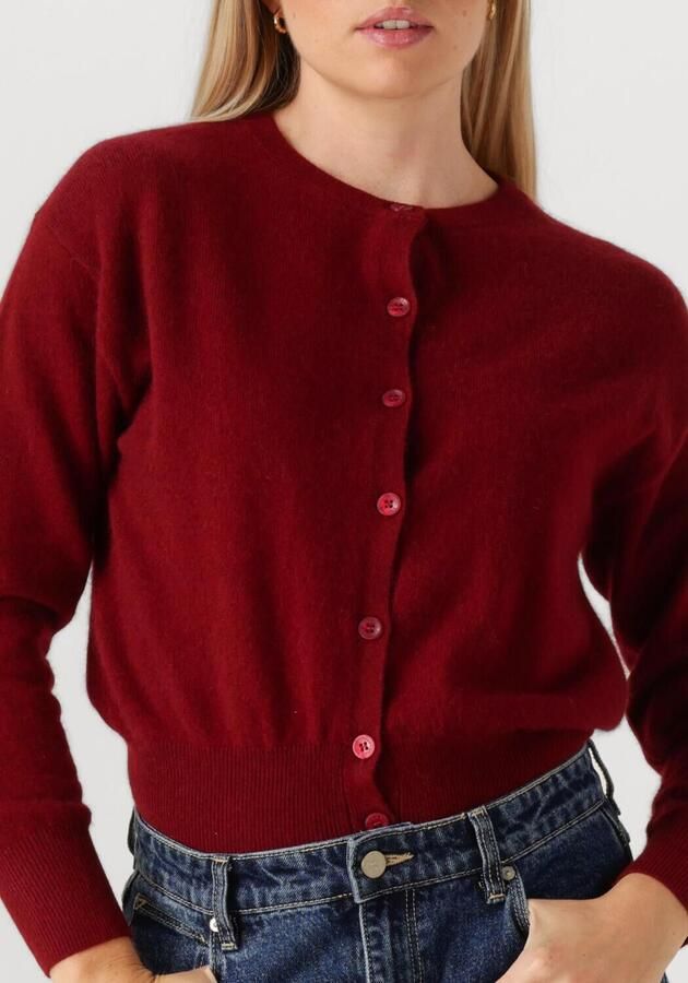 TWNS Dames Truien & Vesten Montrose Bordeaux