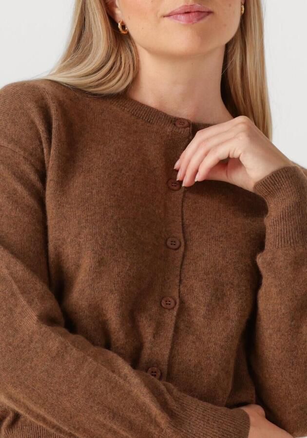 TWNS Dames Truien & Vesten Montrose Bruin