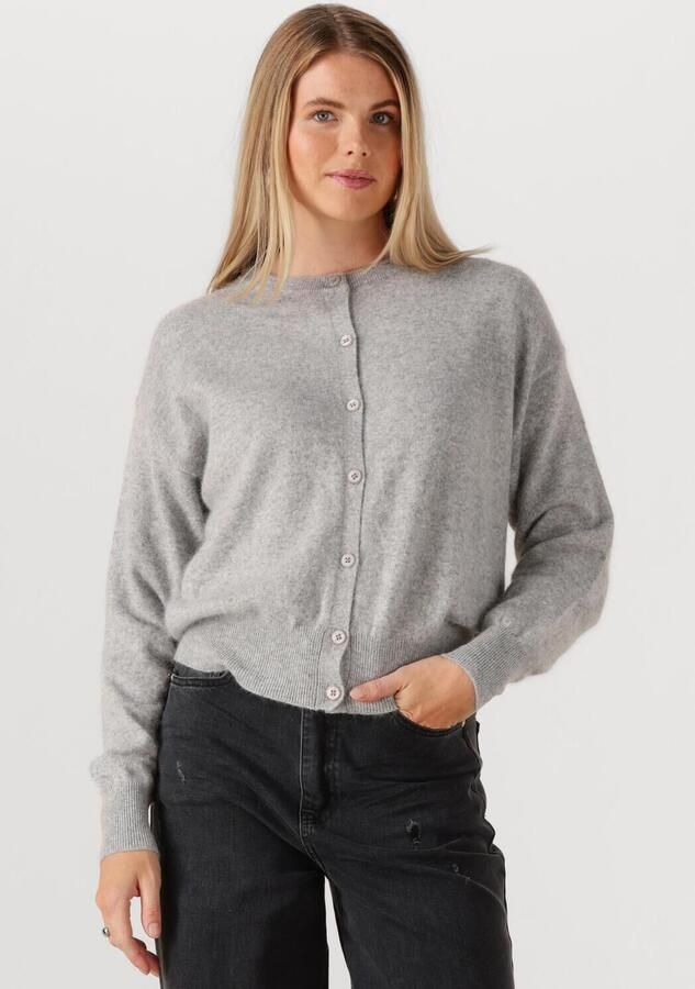 TWNS Dames Truien & Vesten Montrose Lichtgrijs - Foto 4