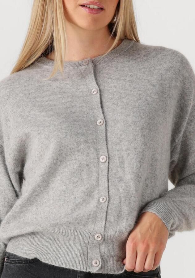 TWNS Dames Truien & Vesten Montrose Lichtgrijs