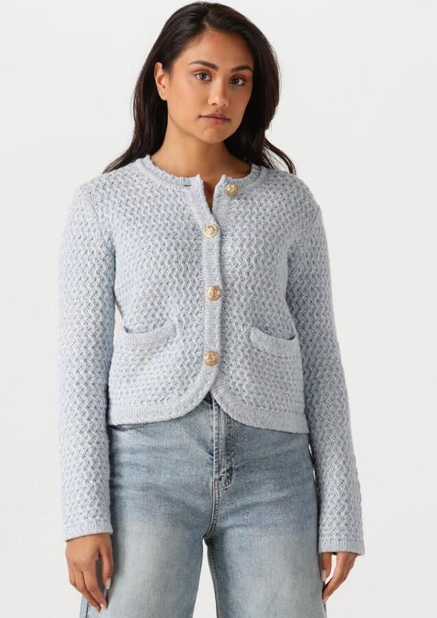 Vanessa Bruno Elegante Blauwe Vest voor Vrouwen Blue Dames - Foto 4