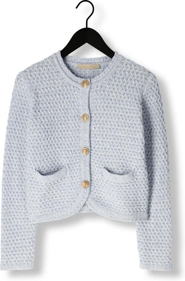 Vanessa Bruno Elegante Blauwe Vest voor Vrouwen Blue Dames - Foto 3