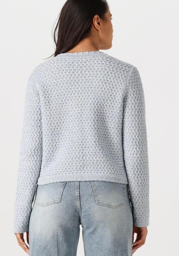 Vanessa Bruno Elegante Blauwe Vest voor Vrouwen Blue Dames - Foto 2