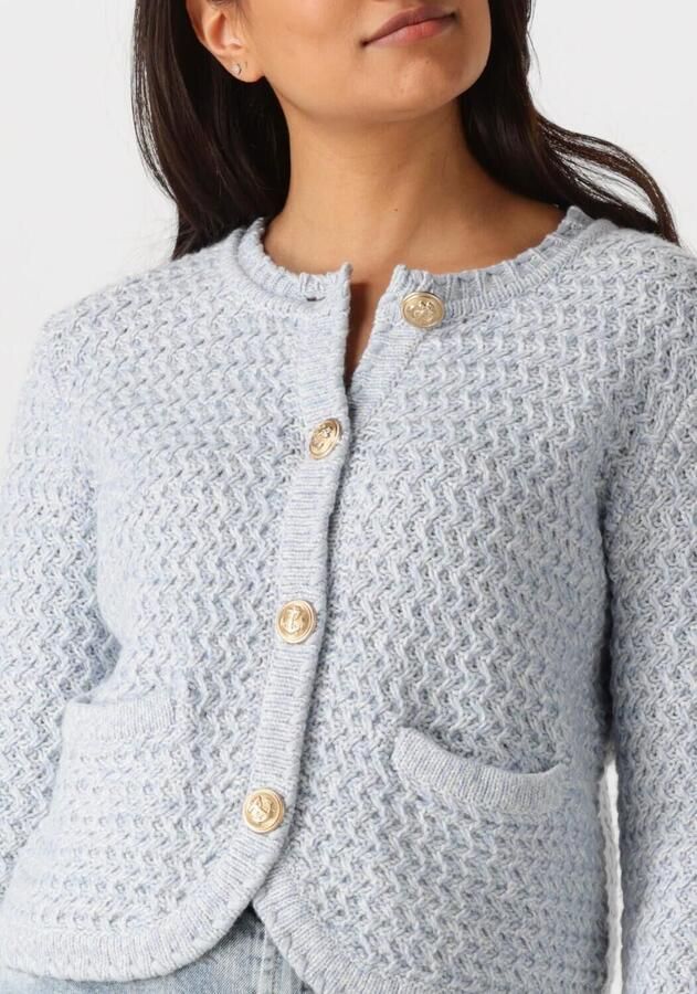 Vanessa Bruno Elegante Blauwe Vest voor Vrouwen Blue Dames