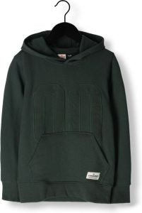 Vingino hoodie Nillo groen