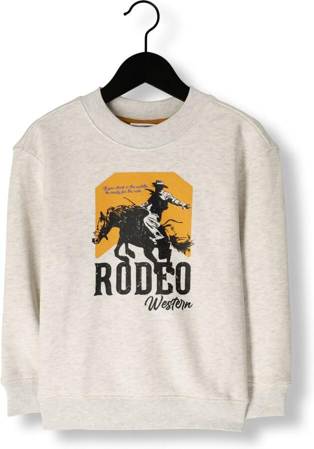 VINGINO Jongens Truien & Vesten Nexas Lichtgrijs - Foto 4