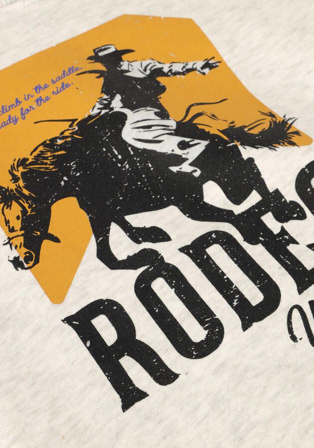 VINGINO Jongens Truien & Vesten Nexas Lichtgrijs - Foto 2