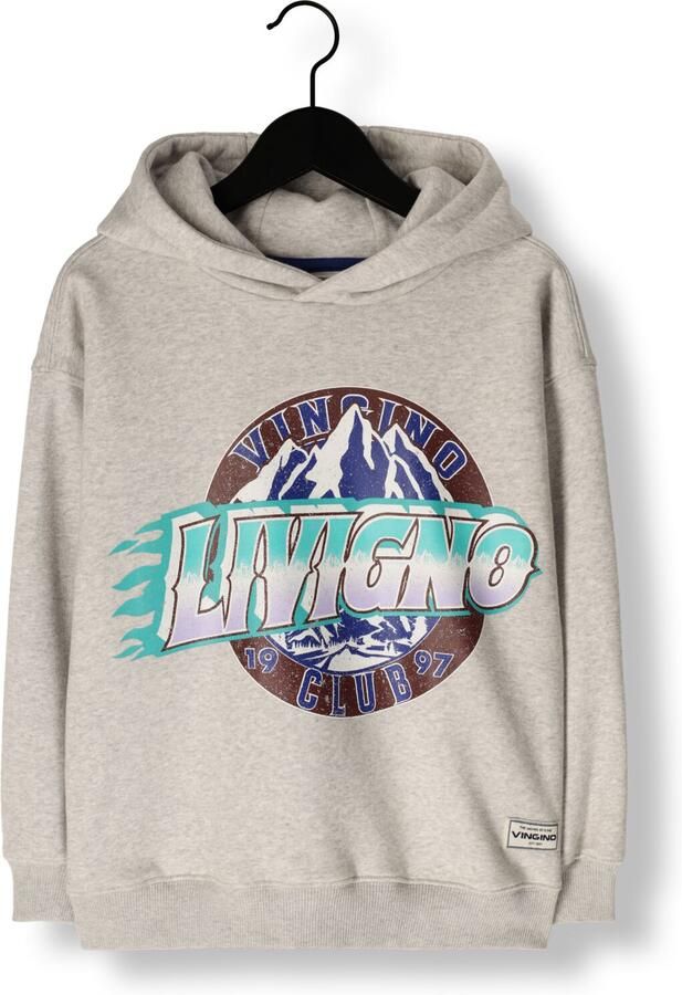 VINGINO Jongens Truien & Vesten Noldi Grijs - Foto 4