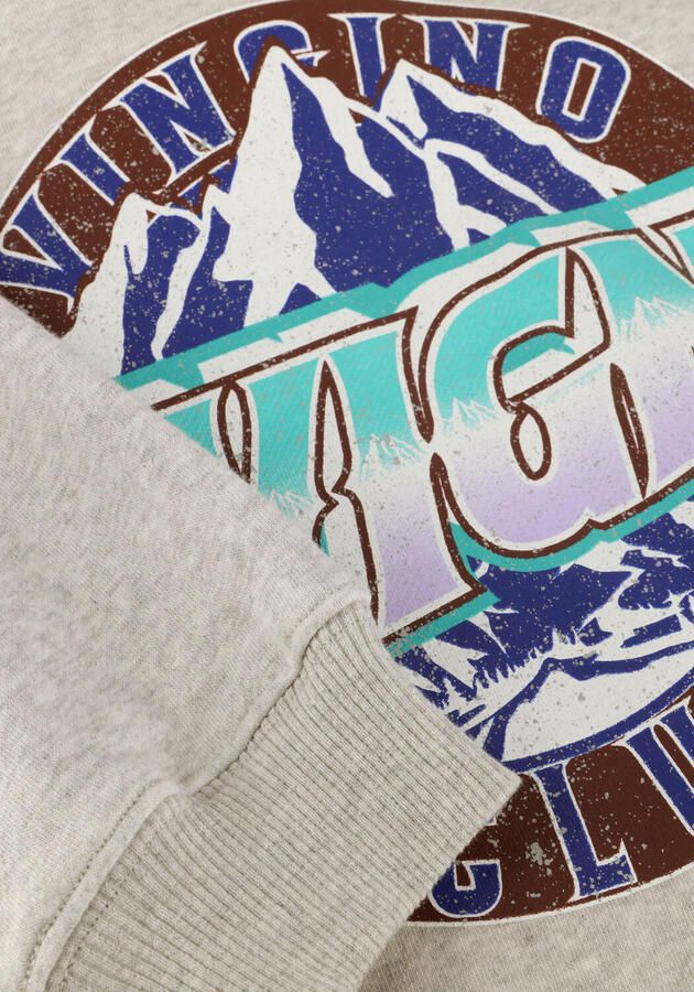 VINGINO Jongens Truien & Vesten Noldi Grijs - Foto 3