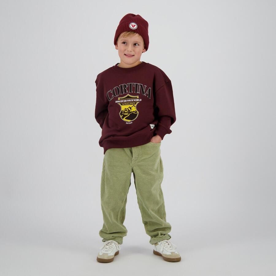 VINGINO Jongens Truien & Vesten Nuri Bordeaux