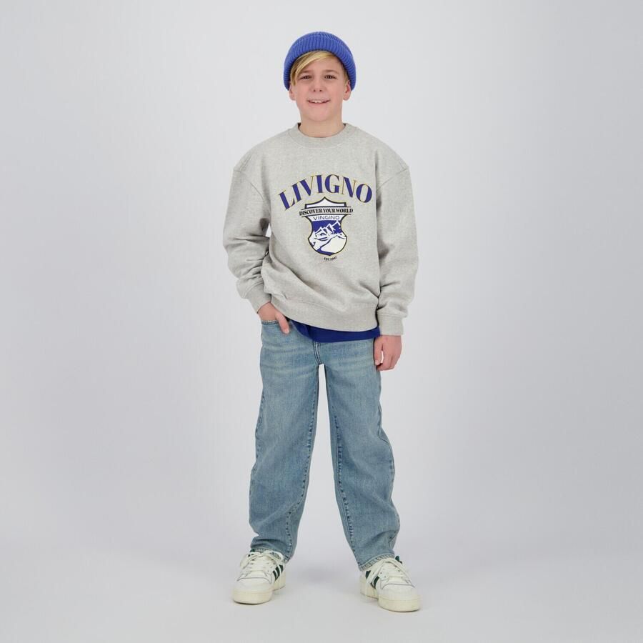 VINGINO Jongens Truien & Vesten Nuri Lichtgrijs