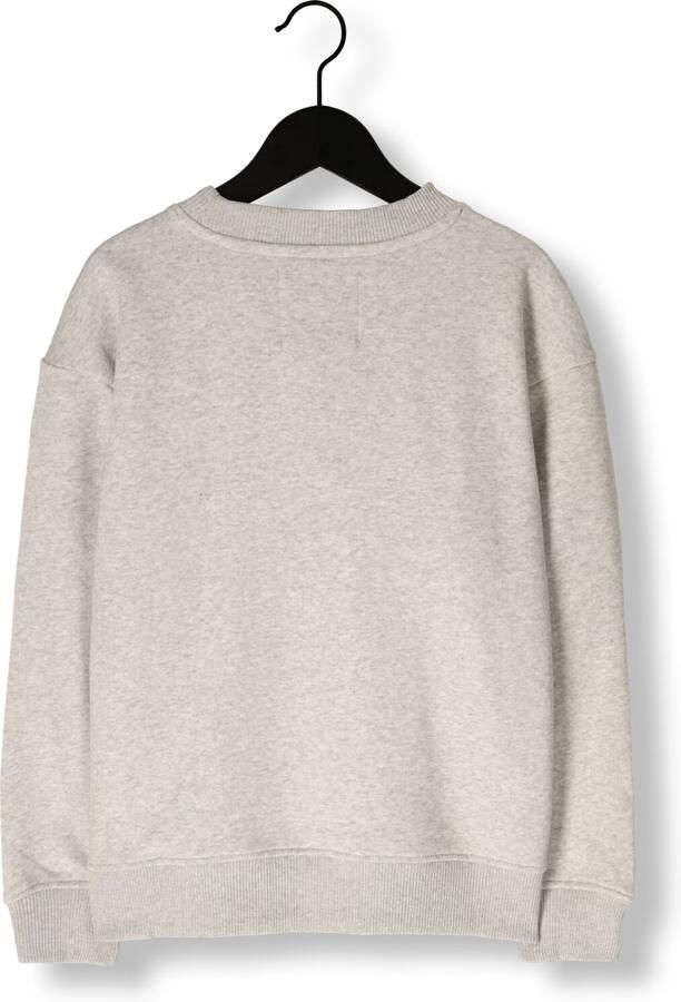 VINGINO Jongens Truien & Vesten Nuri Lichtgrijs - Foto 3