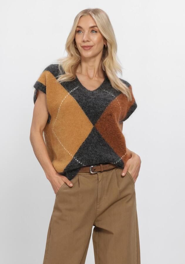 WITHBLACK Dames Blazers Wblvenus Harlekin Waistcoat Grijs