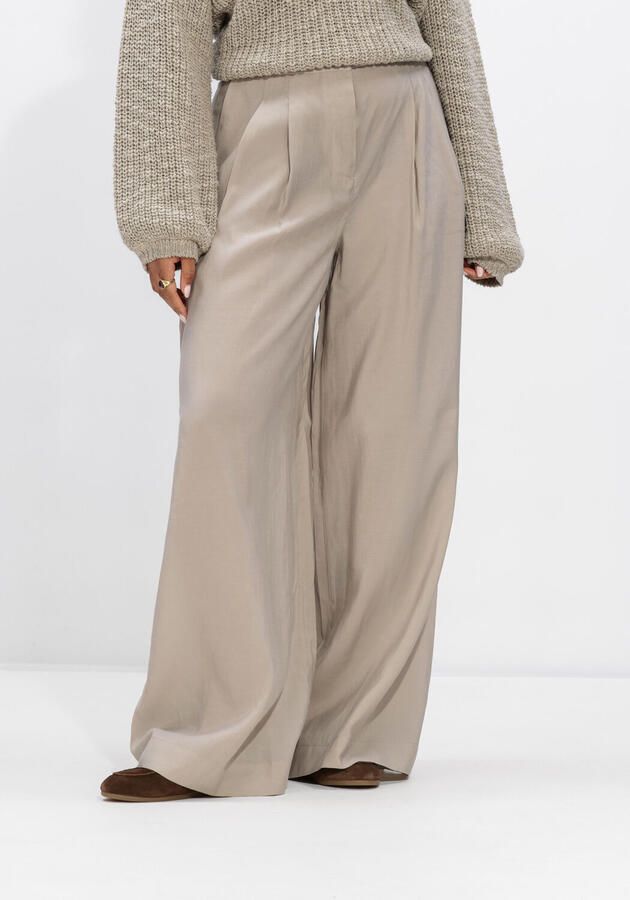 WITHBLACK Dames Broeken Wblmarleen Tailored Wide Pant Taupe