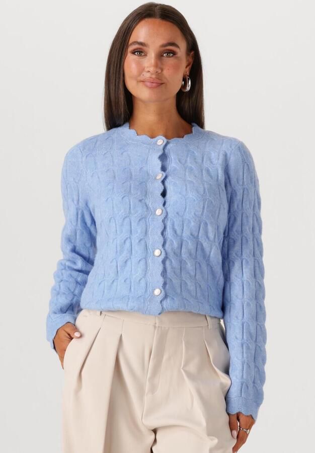 Y.A.S. Dames Truien & Vesten Yasbubera Ls Knit Cardigan Lichtblauw - Foto 4