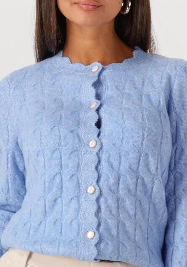 Y.A.S. Dames Truien & Vesten Yasbubera Ls Knit Cardigan Lichtblauw