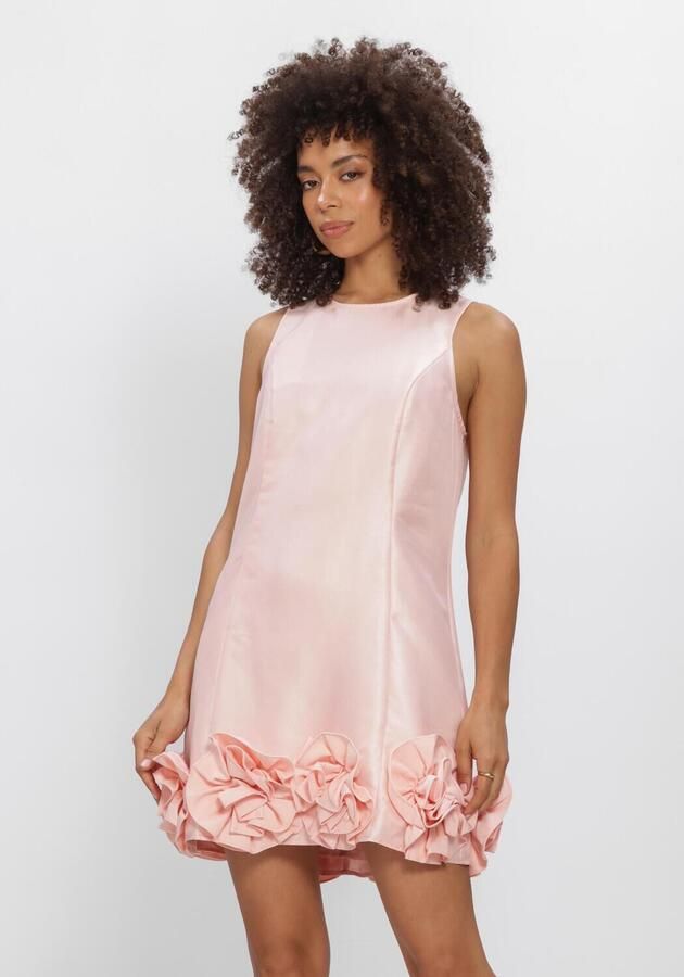 Y.A.S. YAS Dames Jurken Yasellina Sl Mini Dress Lichtroze