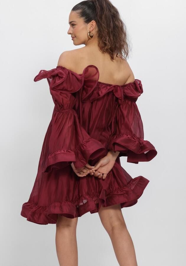 Y.A.S. YAS Dames Jurken Yasfallulah O s Dress D2d Bordeaux - Foto 3