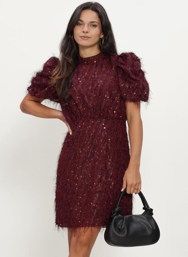 Y.A.S. YAS Dames Jurken Yasilza 2 4 Sequin Dress Bordeaux