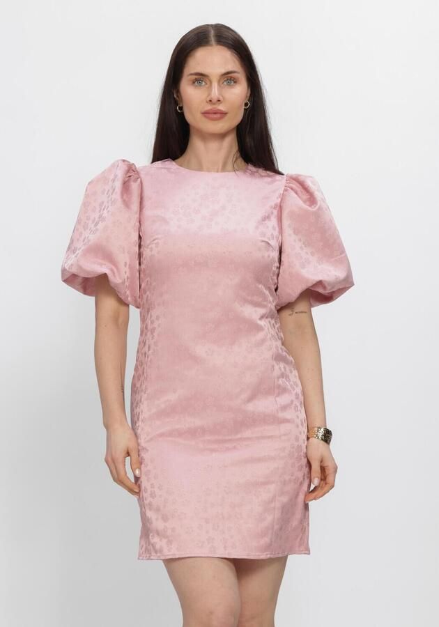 Y.A.S. YAS Dames Jurken Yassanne Ss Dress Roze