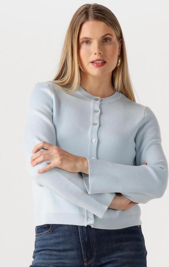 Y.A.S. YAS Dames Truien & Vesten Yaseena Ls Knit Cardigan Lichtblauw