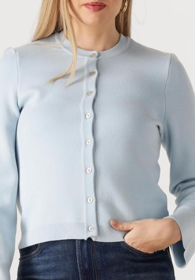 Y.A.S. YAS Dames Truien & Vesten Yaseena Ls Knit Cardigan Lichtblauw - Foto 3