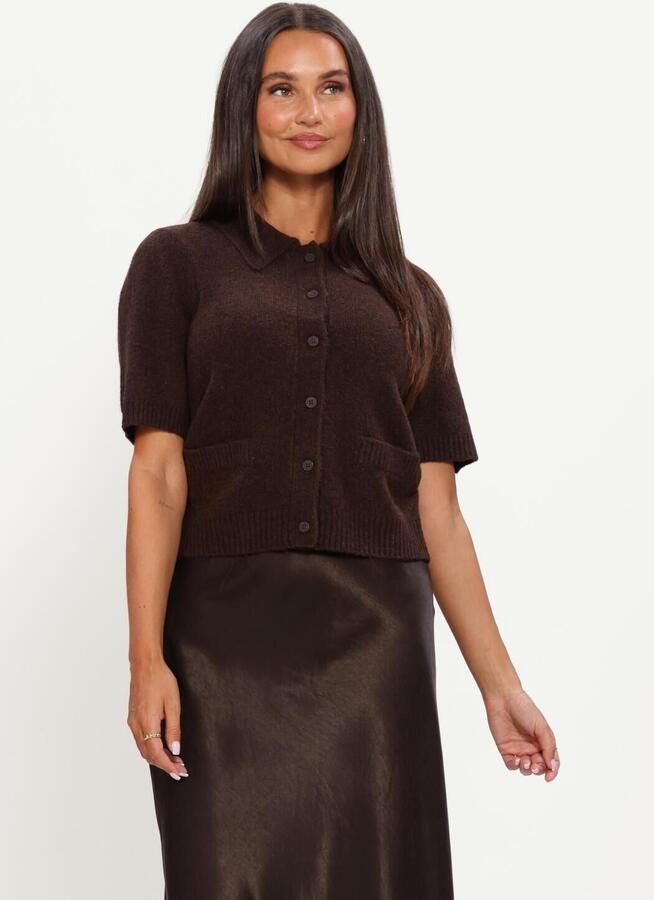 Y.A.S. YAS Dames Truien & Vesten Yasfrilo Ss Knit Cardigan Bruin