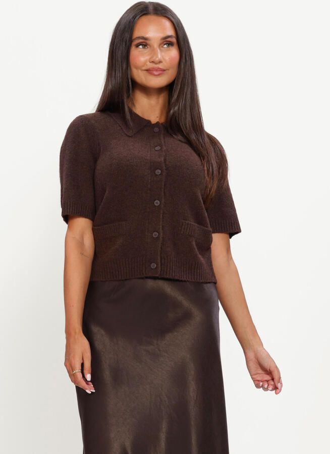 Y.A.S. YAS Dames Truien & Vesten Yasfrilo Ss Knit Cardigan Bruin