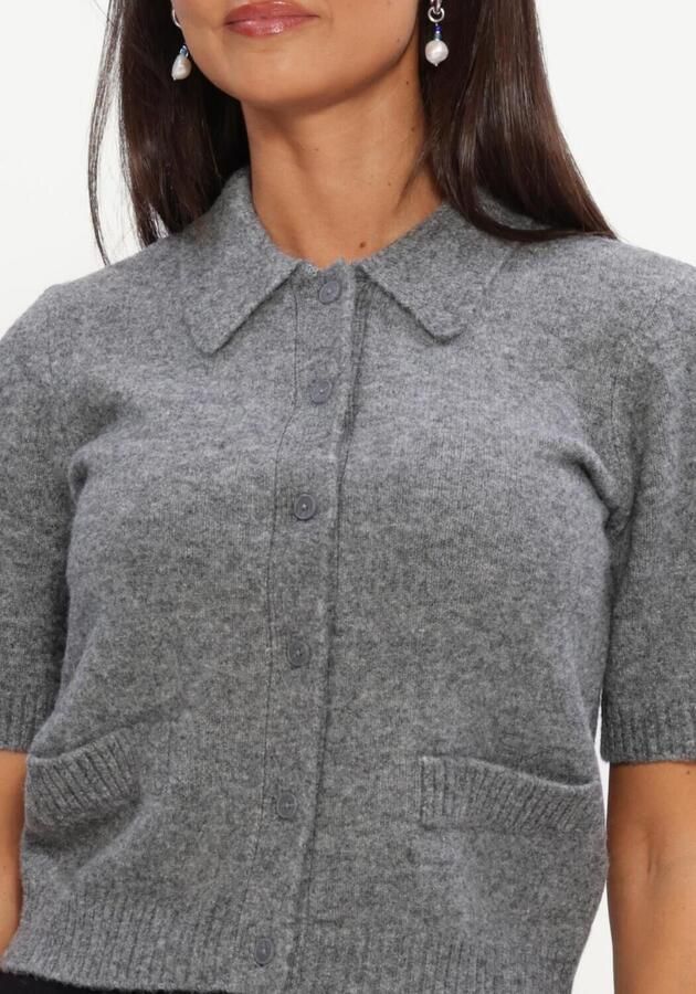 Y.A.S. YAS Dames Truien & Vesten Yasfrilo Ss Knit Cardigan Grijs - Foto 3