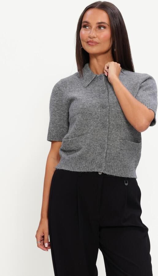 Y.A.S. YAS Dames Truien & Vesten Yasfrilo Ss Knit Cardigan Grijs - Foto 4