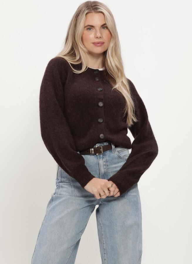 Y.A.S. YAS Dames Truien & Vesten Yasjohi Ls Wool Blend Cardigan Bruin