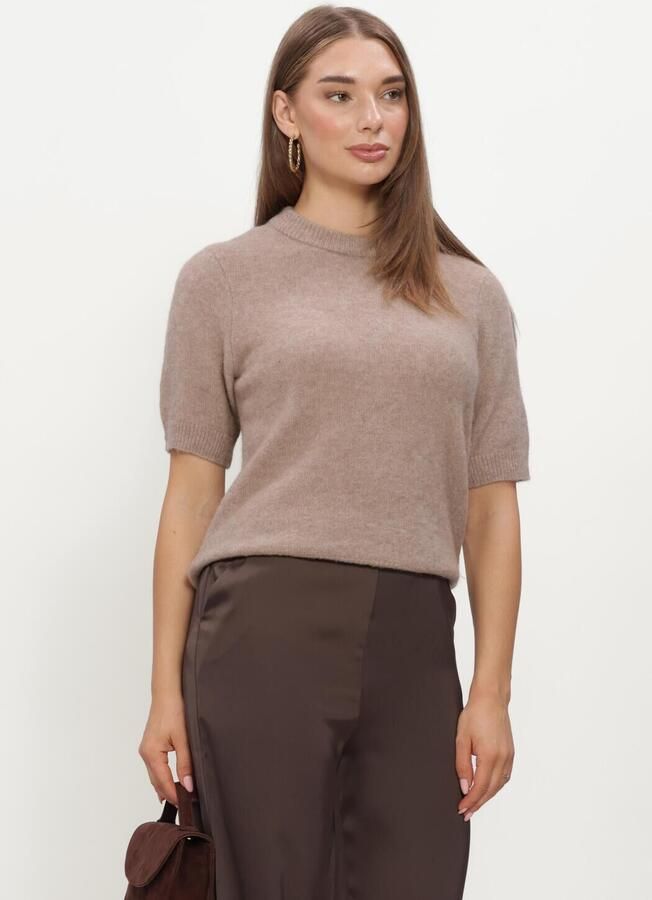 Y.A.S. YAS Dames Truien & Vesten Yasjohi Ss Wool Blend Pullover Beige