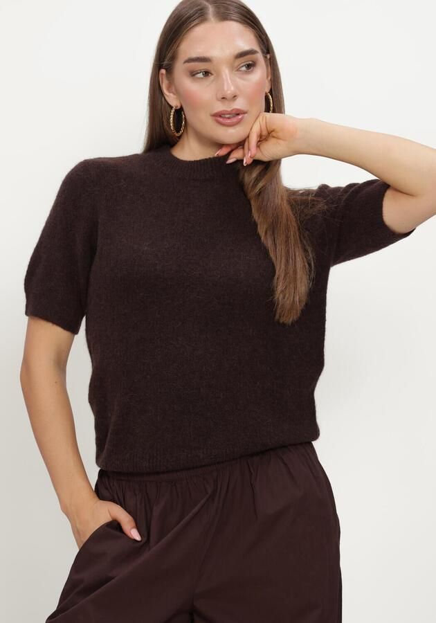 Y.A.S. YAS Dames Truien & Vesten Yasjohi Ss Wool Blend Pullover Bruin