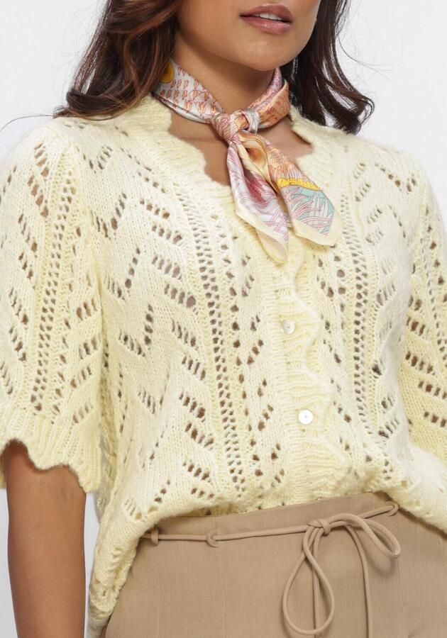Y.A.S. YAS Dames Truien & Vesten Yasvienna Ss Knit Cardigan S. Geel - Foto 4
