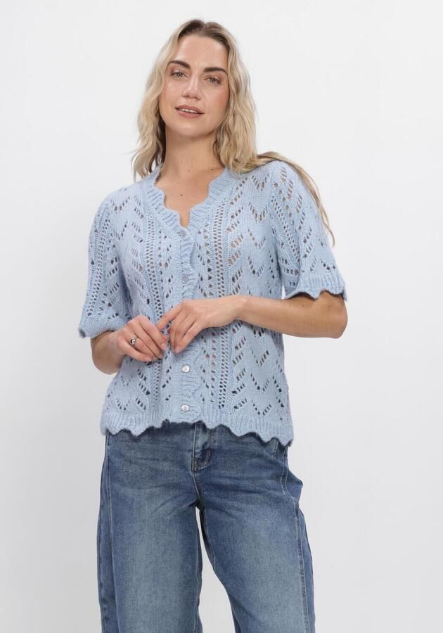 Y.A.S. YAS Dames Truien & Vesten Yasvienna Ss Knit Cardigan S. Lichtblauw