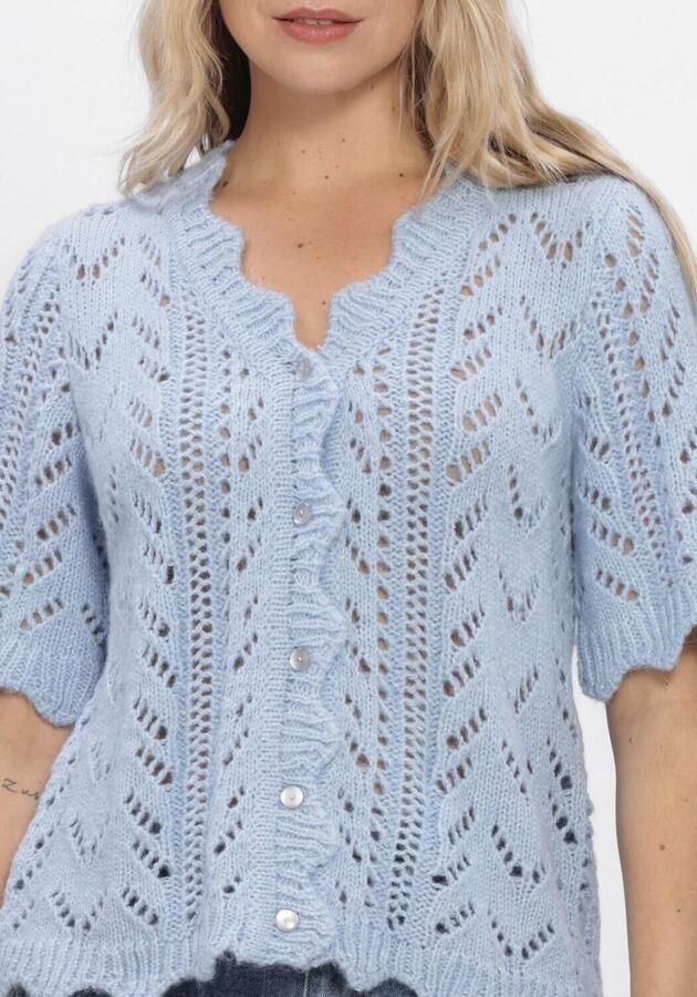Y.A.S. YAS Dames Truien & Vesten Yasvienna Ss Knit Cardigan S. Lichtblauw - Foto 4