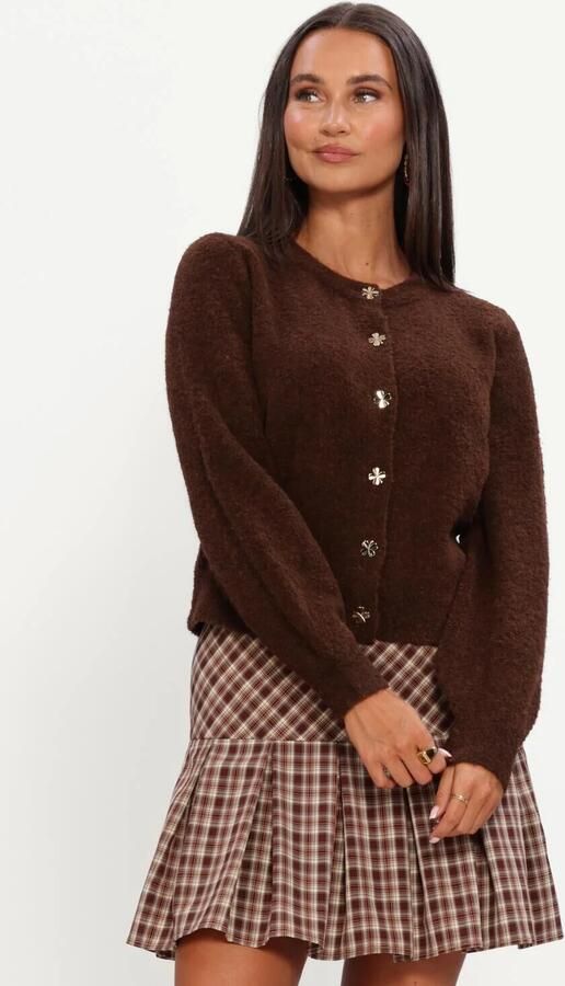 YDENCE Dames Truien & Vesten Cardigan Eden Bruin