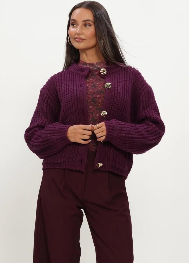 YDENCE Dames Truien & Vesten Cardigan Irene Paars