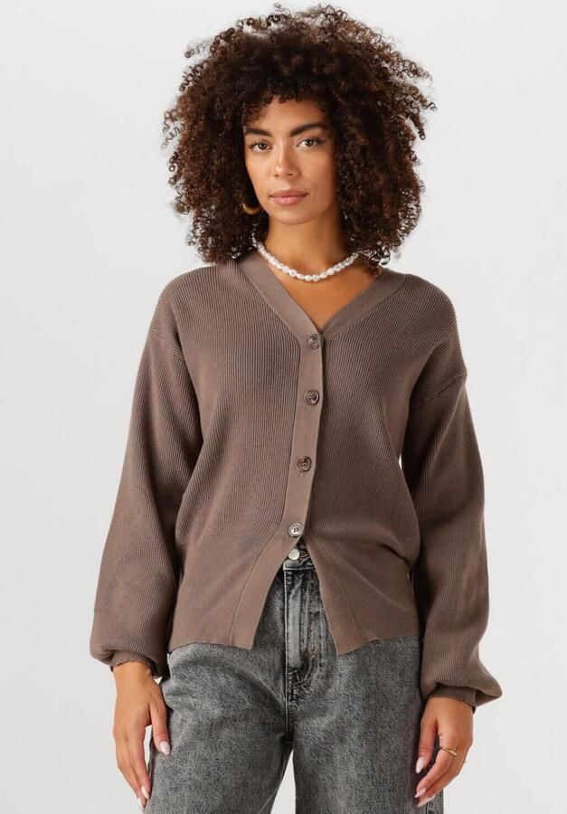 YDENCE Dames Truien & Vesten Cardigan Janella Bruin - Foto 4