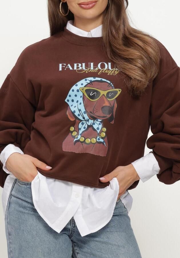 YDENCE Dames Truien & Vesten Sweater Iconic And Fluffy Bruin - Foto 4