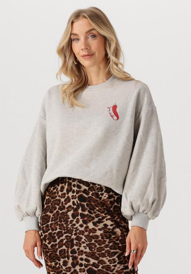 YDENCE Dames Truien & Vesten Sweater Just Chillin Grijs - Foto 4