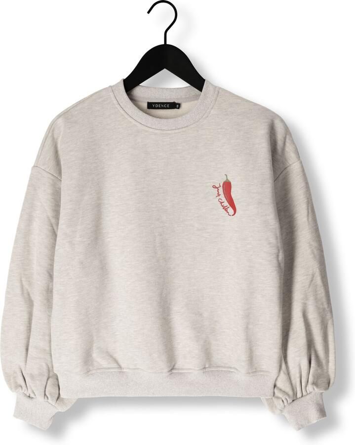 YDENCE Dames Truien & Vesten Sweater Just Chillin Grijs